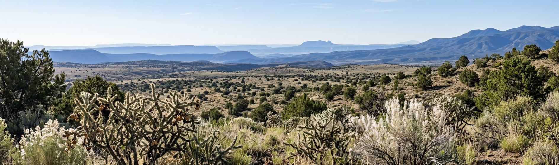 Long open country on the north side of the Sandias